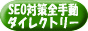 SEO�΍��S�蓮�_�C���N�g���[
